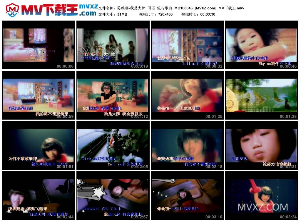 陈维琳-我是大牌_国语_流行歌曲_MB108046